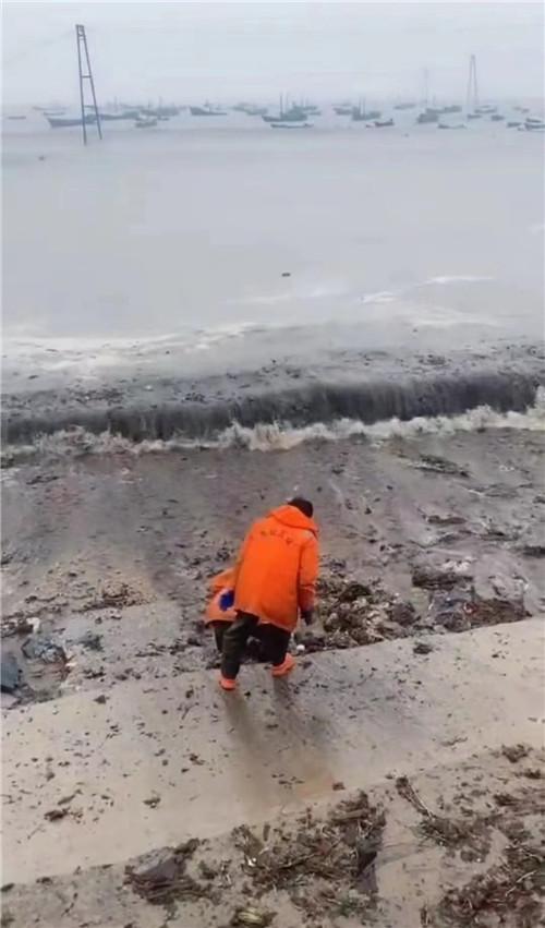 事发旅顺！大风过后海参“上岸” 不少市民前来赶海