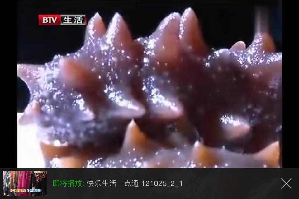 唤醒你的味蕾——泡发干海参的“小窍门”