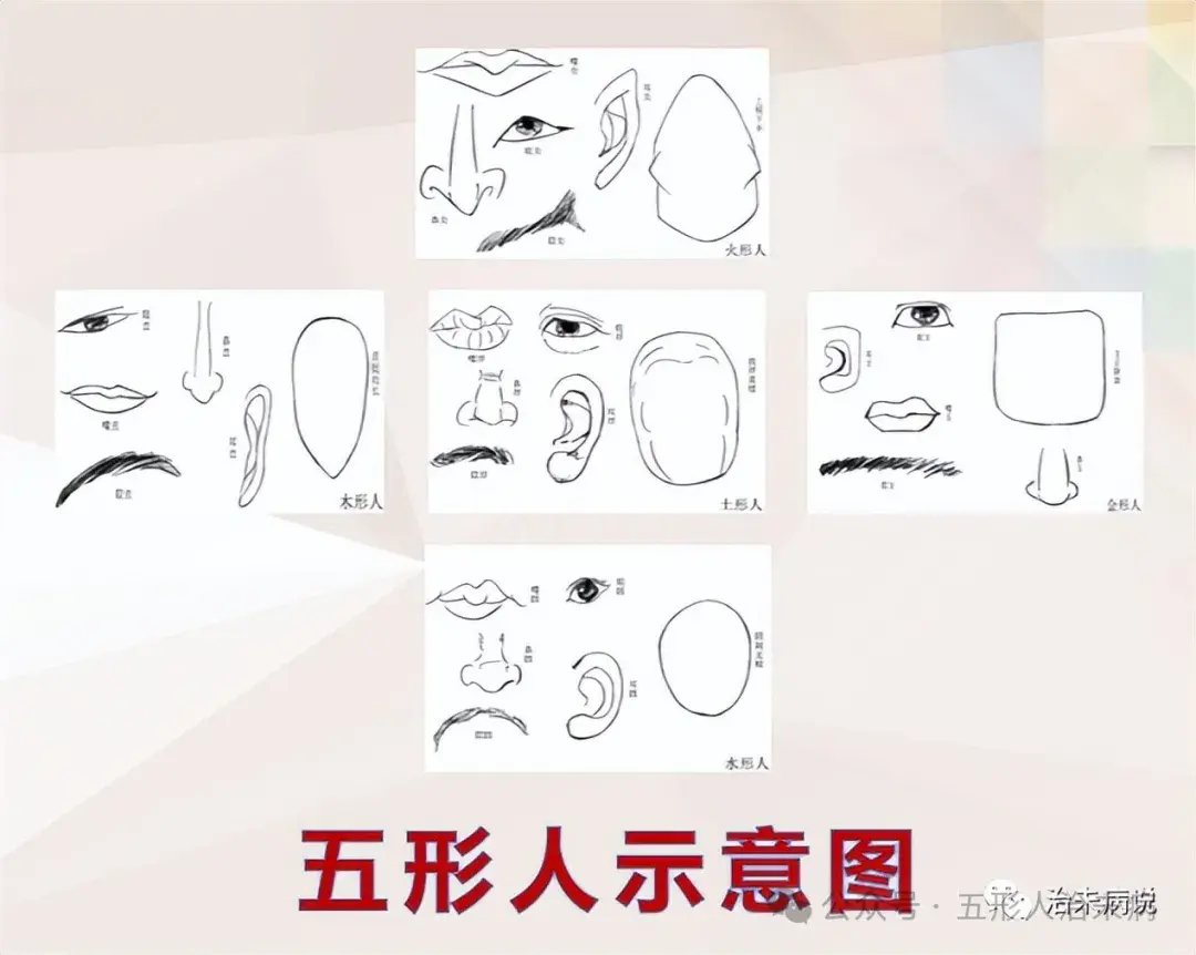 猪，与人类基因97.7%相同，可食用，可药用，你吃对了吗？