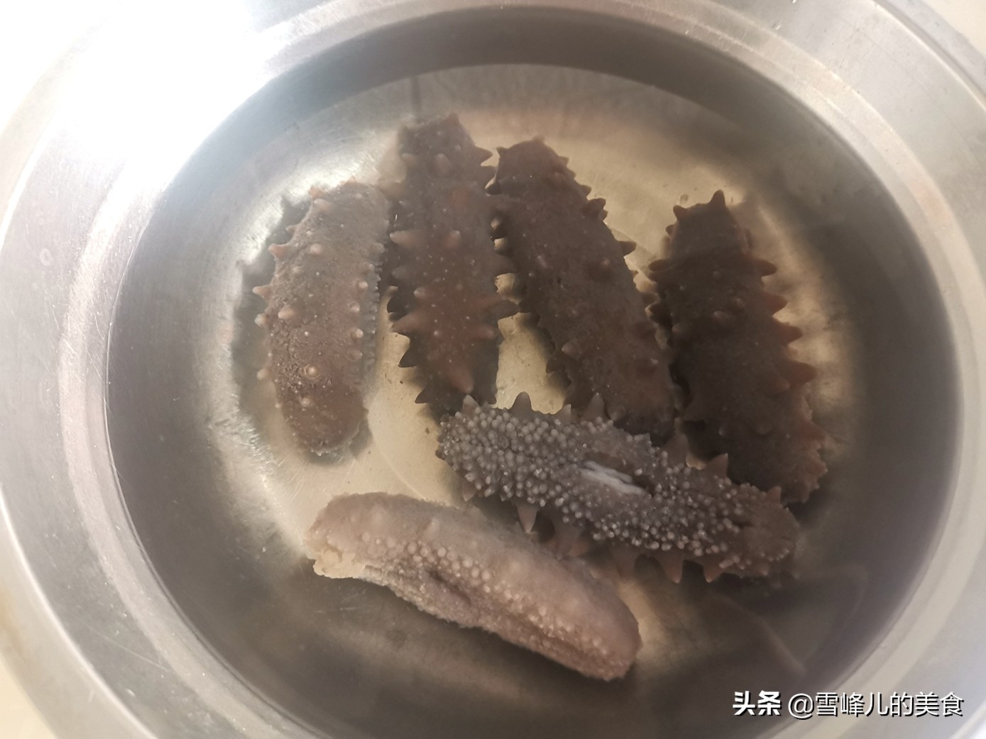 年底了，教你海参泡发方法，2步就搞定，再也不用走弯路，别错过