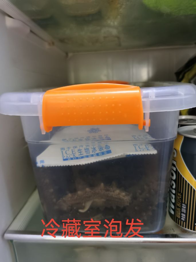 两泡一煮，海参轻松发