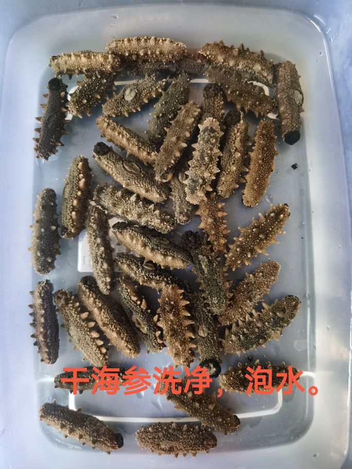 两泡一煮，海参轻松发