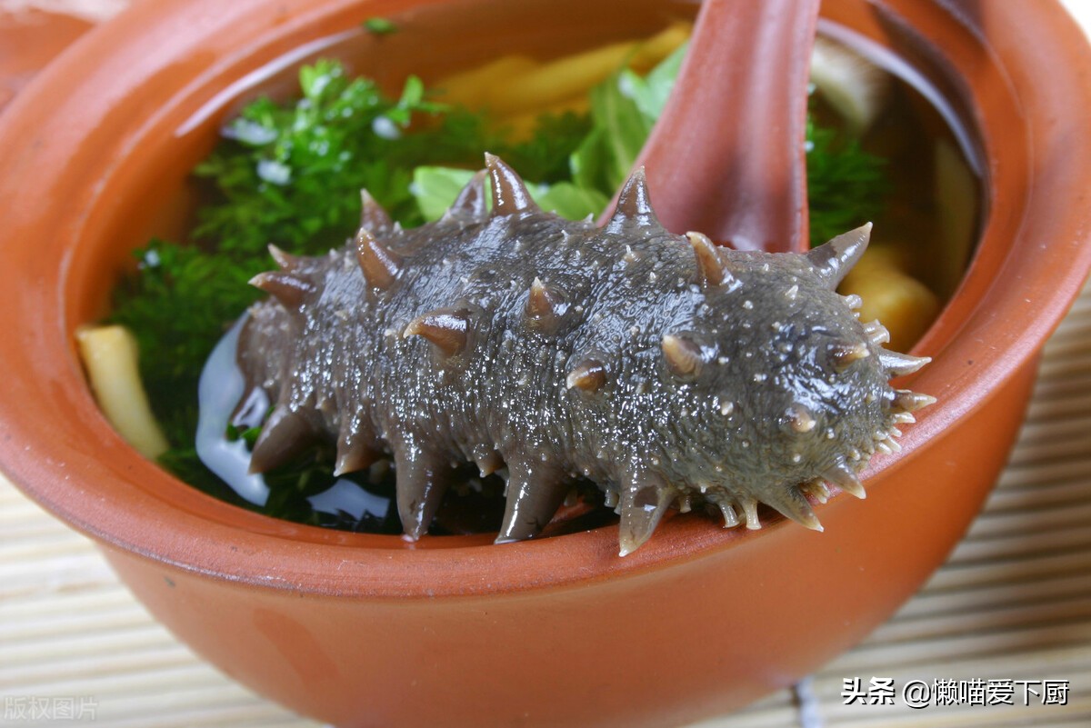 原来海参也有假的，买海鲜时，注意鉴别真假海参，避免再掉坑