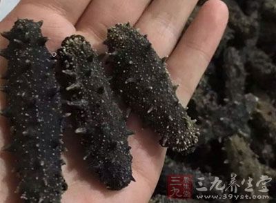 海参的功效 吃海参能提高记忆力还能美容