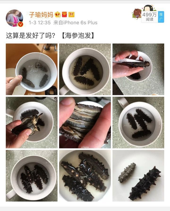 过年想吃个海参，不知道怎么泡发？盐干的，淡干的~（泡发完整攻略）