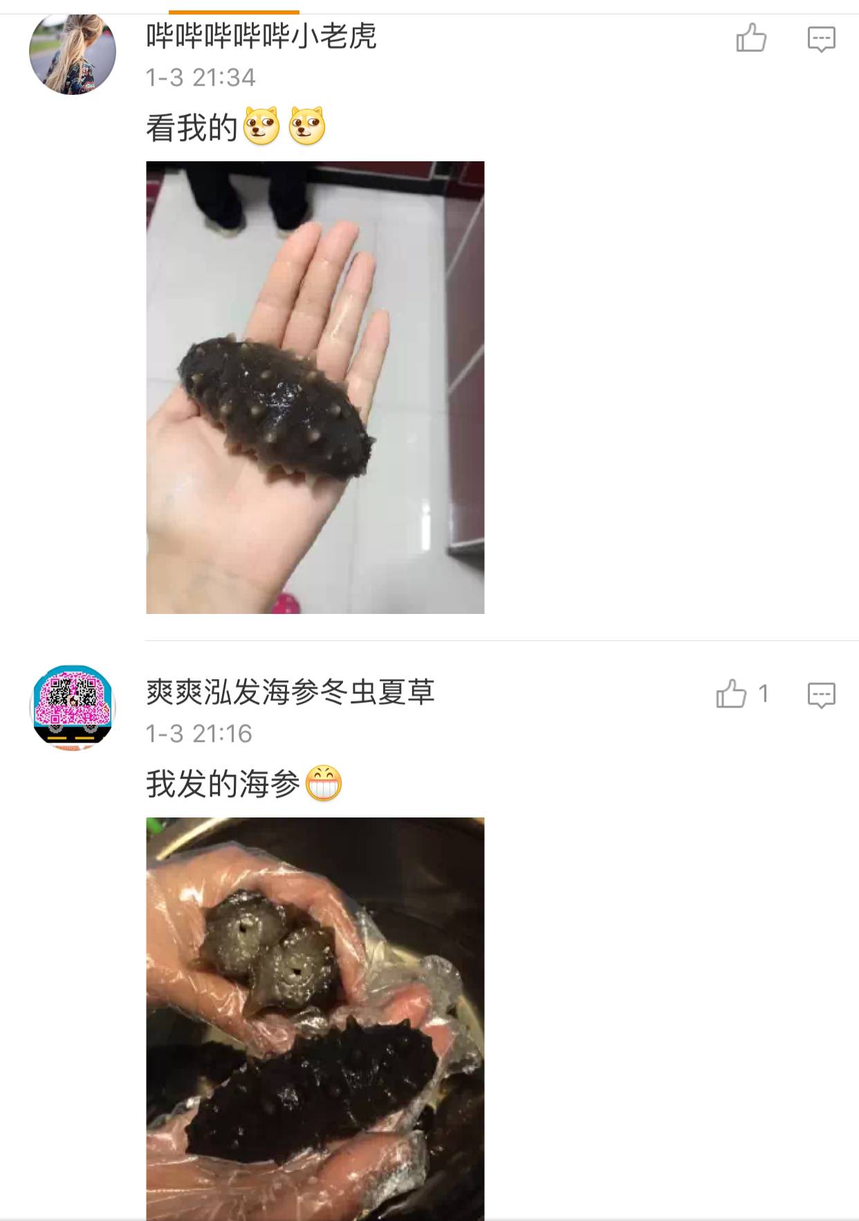 过年想吃个海参，不知道怎么泡发？盐干的，淡干的~（泡发完整攻略）