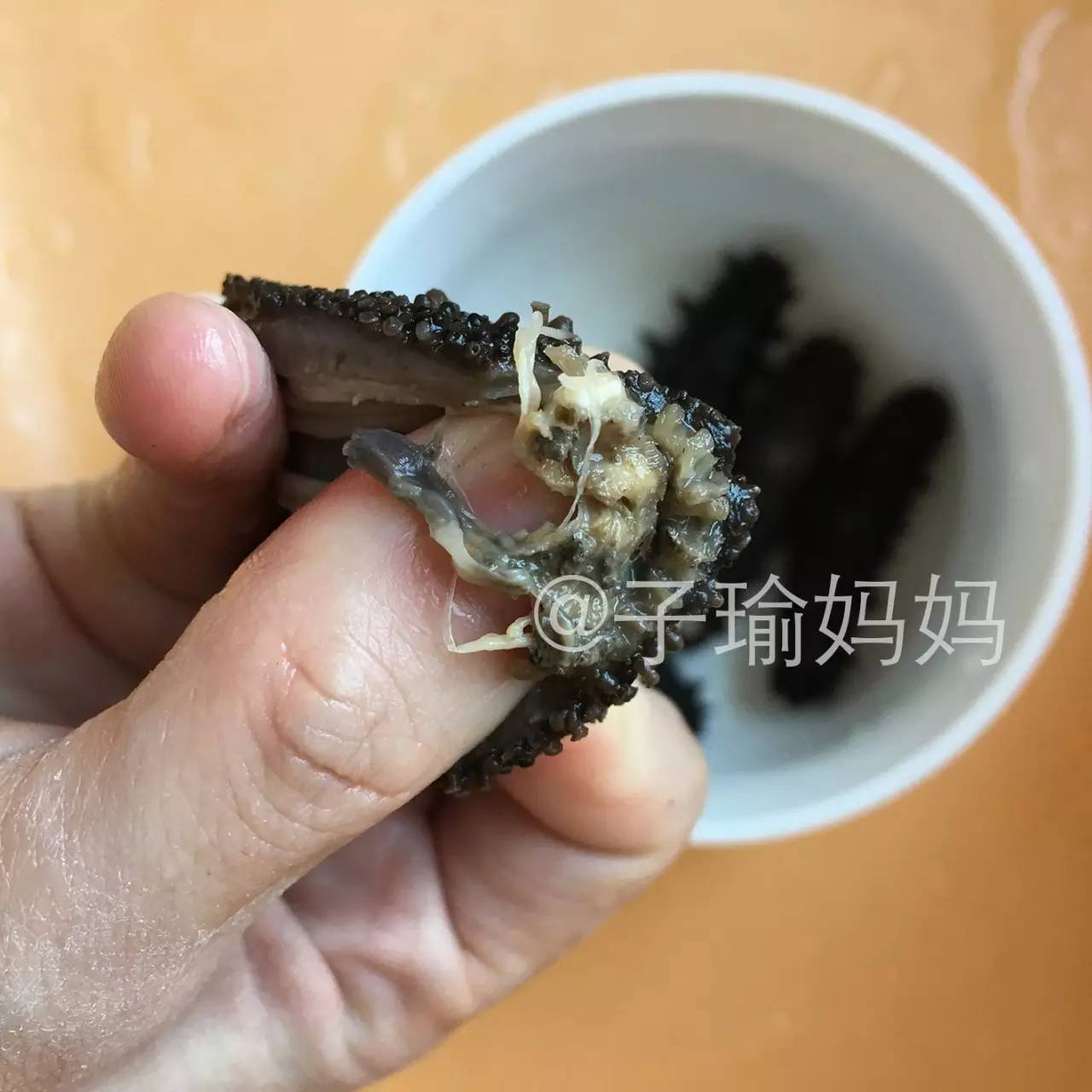 过年想吃个海参，不知道怎么泡发？盐干的，淡干的~（泡发完整攻略）