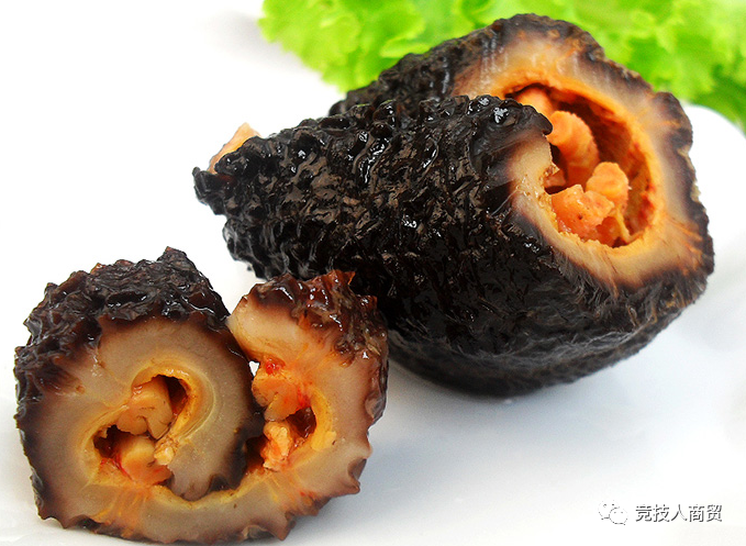 常见的海参介绍（Introduction to common sea cucumber）