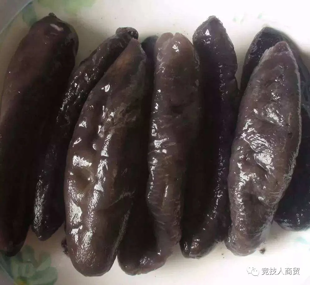 常见的海参介绍（Introduction to common sea cucumber）