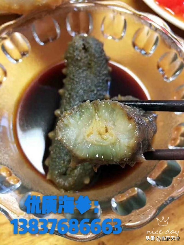 海参！不可替代的食疗功效