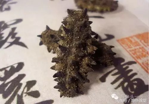 一只海参的选择，感动全中国，海参吃对，营养翻倍！