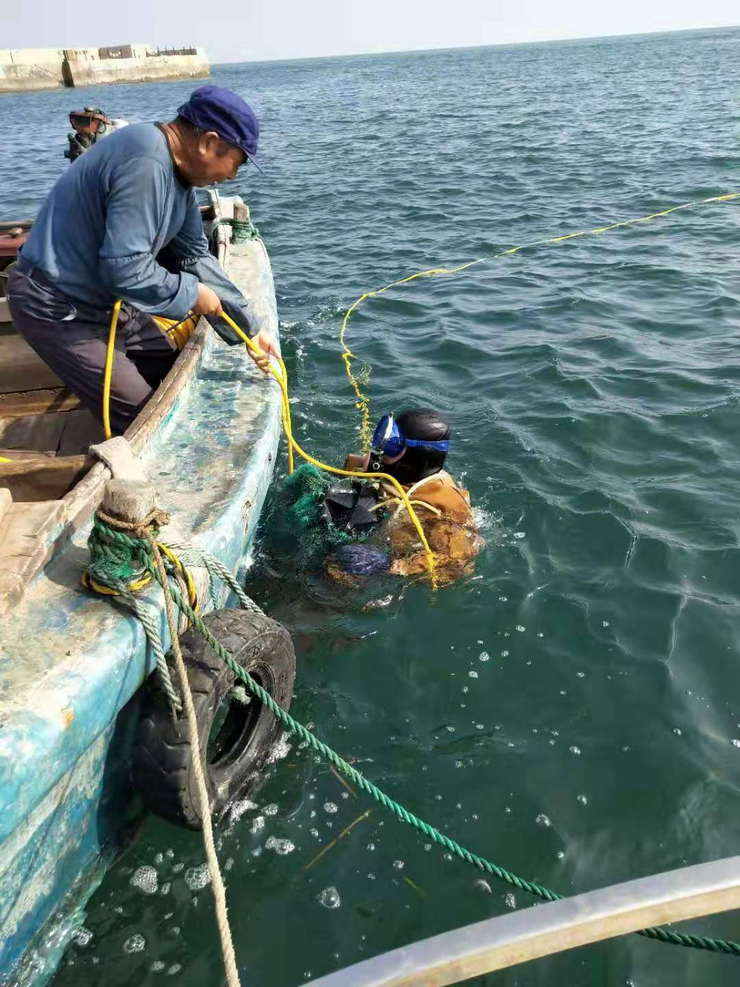 中国海参产地最好的地方