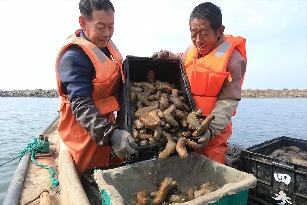 06年小伙卖房3年赚千万，却离职买石填海，如今每年坐收5000万