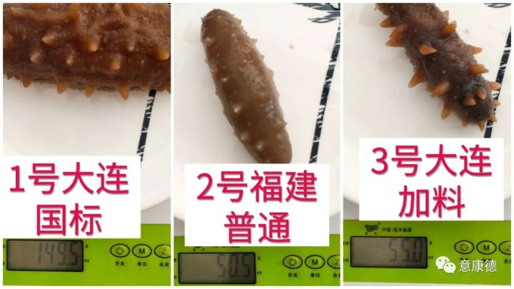 海参品质的优劣辨别一点都不难！关键是认准专业